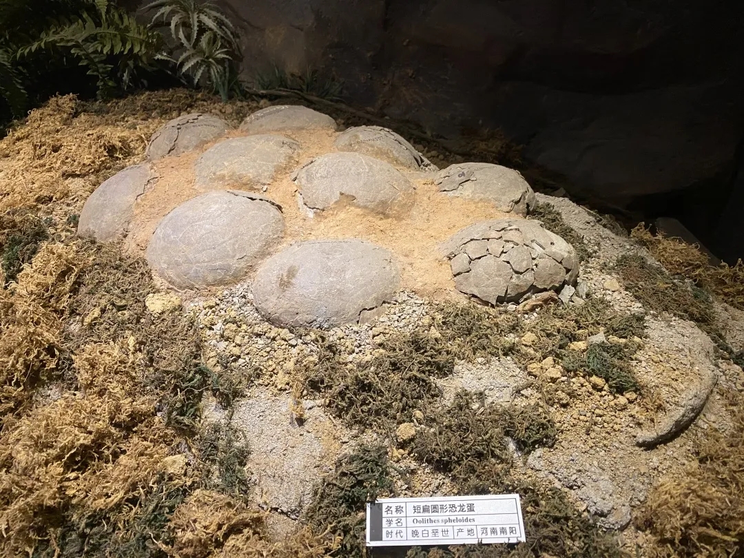 文件名