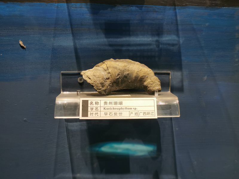 文件名